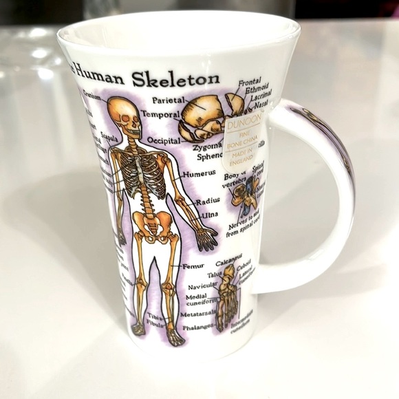 NEW Dunoon Glencoe Bone China Human Body Coffee Cup. - Picture 3 of 8